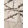 Esprit Hochflor-Teppich ESPRIT "Ronja ESP-80335", weiß (weiß,creme), B:160cm H:30mm L:225cm, Polyester, Teppiche, Shaggy, Langflor, Weich, Wohnzimmer, Schlafzimmer