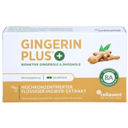 Gingerin Plus Kapseln