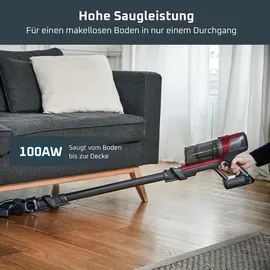 Rowenta X-Pert 6.60 Animal RH6878WO