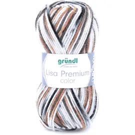 120 Häkelwolle Lisa Premium color Grau/Schwarz/Weiß 50 g