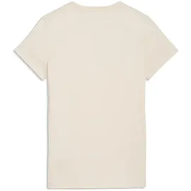 Puma Class Graphic T-Shirt Alpine Snow XL
