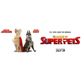 HL Großhandel DC League of Super Pets Plüschtier 27 cm Mehrfarbig