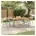 Gartenstuhl 6 St 56 57 87 cm braun
