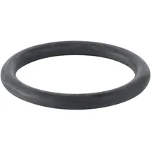Geberit O-Ring