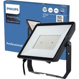 Philips Außenleuchte Glas Metall 29,9 cm IP65 13500 lm schwarz