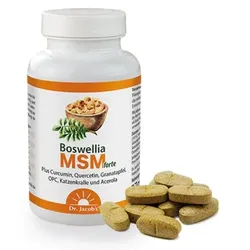 Dr. Jacob's Boswellia MSM forte Weihrauch Schwefel OPC 90 St