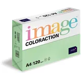 Antalis Image Coloraction Forest - farbiges Kopierpapier - DIN A4, 210 x 297 mm, 120 g/m2 - buntes, holzfreies Druckerpapier für Kopierer - 250 Blatt - Grün