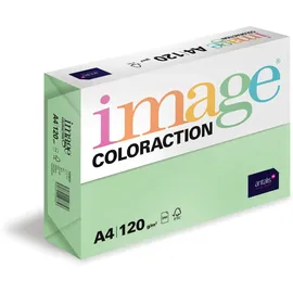 Antalis Image Coloraction Forest - farbiges Kopierpapier - DIN A4, 210 x 297 mm, 120 g/m2 - buntes, holzfreies Druckerpapier für Kopierer - 250 Blatt - Grün