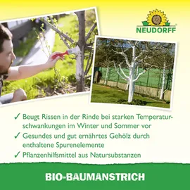 NEUDORFF Bio-Baumanstrich 2