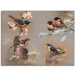 Artland Wandbild »Vogel Komposition«, Vögel, (1 St.), als Leinwandbild, Poster in verschied. Größen Artland Farbe Bild(er): braun