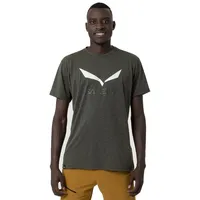 Salewa SOLIDLOGO Dry M T-Shirt.