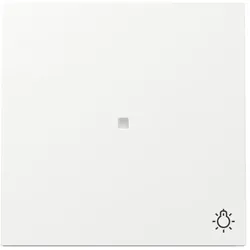 1St. Gira 367470 Wippe Kontrollfenster + Symbol Licht