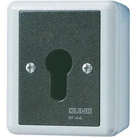 Jung Schlüsselschalter 806.28 G