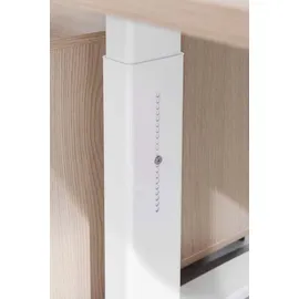 Hammerbacher Schreibtisch VXB16 Ahorn / Weiß