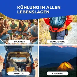 NEMT Elektrische Kühlbox 30 l
