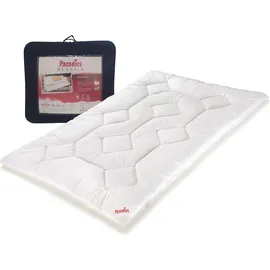 Paradies Anela Bio 135x200 cm - Winterdecke,