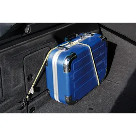 BGS Do it yourself Gepäckspanner-Satz 800 mm 4-tlg.