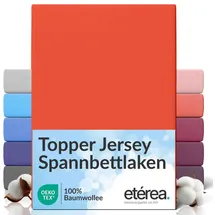 etérea Himmlische Qualität Spannbettlaken für Topper Jersey 200 x 200 - 200 x 220 cm terra