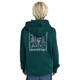 BILLABONG Compass Pullover - Hoodie - Kind Pine S