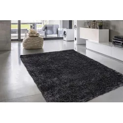 Hochflor-Teppich CALO-DELUXE "Masada 900", grau (anthrazit), B:160cm H:40mm L:230cm, Kunstfaser, Teppiche, Wohnzimmer