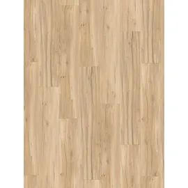 Parador Vinylboden Basic 5.3 Eiche Memory geschliffen