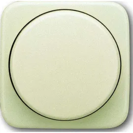 Busch-Jaeger Zentralscheibe mit Drehknopf, Bef.-Mutter und Glimmlampe