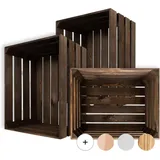 Creative Deco Holzkiste 50 x 40 x 30 cm 3-tlg. braun