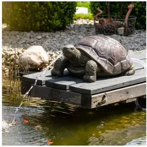 esotec Wasserspeier Schildkröte Maru mit Pumpe 54x32x23cm