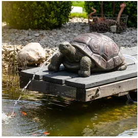 esotec Wasserspeier Schildkröte Maru mit Pumpe 54x32x23cm