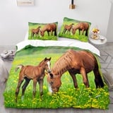 Bettwäsche 155x220 Galoppierendes Pferd Bettbezug Set mit ReißVerschluss 3D Wildlife Pferd Bettwäsche Set mit 2 Kissenbezug Warme Winter Flauschig Mikrofaser Betten Set für Kinder Frauen Männer