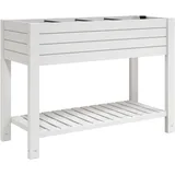 vidaXL Hochbeet 110 x 45 x 79 cm Weiß