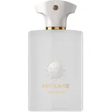 Amouage Odyssey Decision Eau de Parfum 100 ml