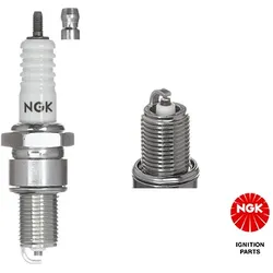 NGK Zündkerze  für RENAULT SKODA VW DACIA SEAT STEYR MAYBACH LAMBORGHINI AUDI MERCEDES-BENZ BENTLEY SMART 0031594503 A0031591203 A0031591303 7639