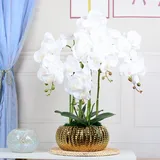 LIVILAN Künstliche Blumen, künstliche Orchidee, weiße Orchidee, Seidenorchidee, Phalaenopsis-Orchidee, Blume für Heimdekoration, Küchendekoration, Tischdekoration, Weiß mit goldfarbener Vase