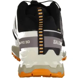 Salomon XA Pro 3D V9 GTX Herren Black/Vanilla Ice Turmeric 42