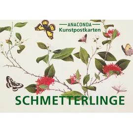 Penguin Postkarten-Set Schmetterlinge