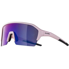 Alpina Ram HR HM+ Brille pink 2021 Brillen