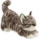 AURORA Borealis Esme Tabby Cat