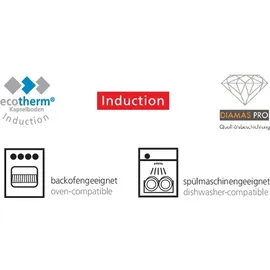 Schulte-Ufer Industar Pfannen-Set 4-tlg. 20 cm + 24 cm + 28 cm