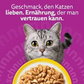 Whiskas Geflügel Auswahl in Sauce 24 x 85 g