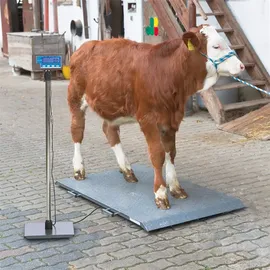 Kerbl Tierwaage PS 2000 bis 1000 kg