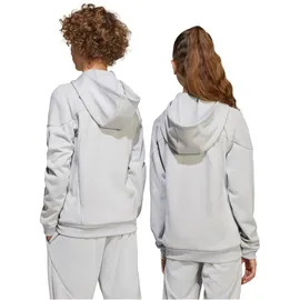 adidas Tiro 25 Kapuzenjacke grau 176