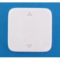 Eltako Wippe bereits lasergraviert 55x55mm W-FT55R-ws+2p (weiß)