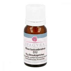 Rhus Toxicodendron D12 Globuli