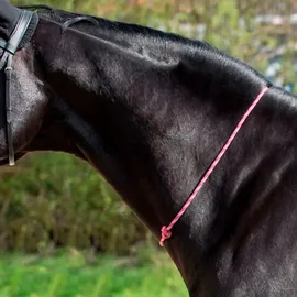 EQuest Balance Zügel Pro 80 cm Pink/Schwarz