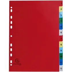 Exacompta 1512E 20x Register für Ordner und Ringbücher, aus PP, 12 Positionen, Taben 1-12, für DIN A4 - Farben sortiert|