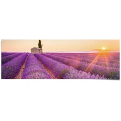 Poster REINDERS "Lavendel Horizont", lila (farbe bild(er): lila), B:158cm H:53cm, Papier, Bilder