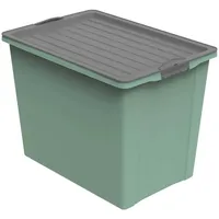 Rotho Aufbewahrungsbox Compact 57 x 39,5 x 43,5 cm 1-tlg. grün