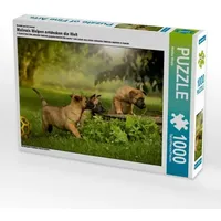 Calvendo Hundekinder entdecken die Welt..., 1000 Teile