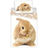 COFI 1453 Hase Braun 140 x 200 cm + 70 x 90 cm